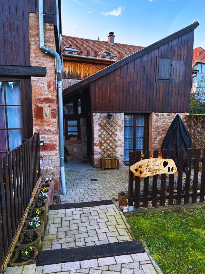 Le Petit Chataignier - Cozy Immo Châtenois Exterior foto