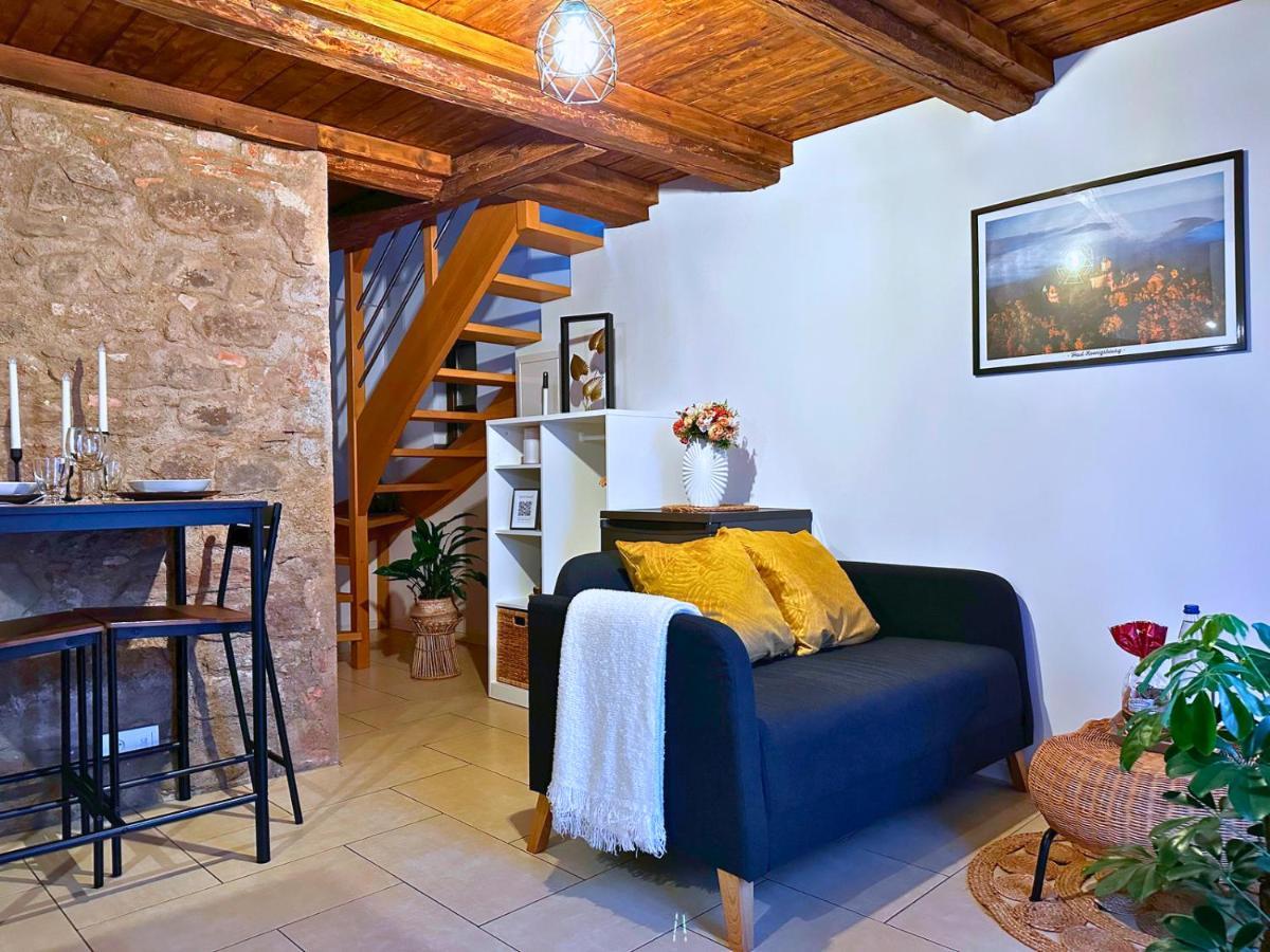 Le Petit Chataignier - Cozy Immo Châtenois Exterior foto
