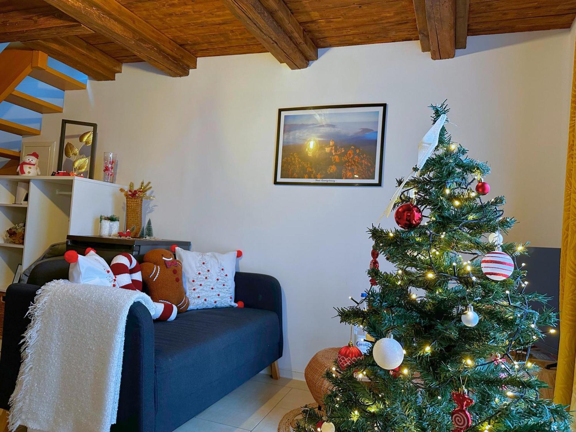 Le Petit Chataignier - Cozy Immo Châtenois Exterior foto